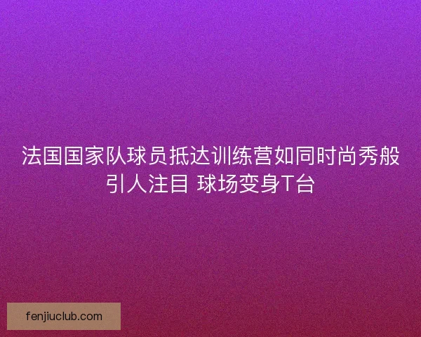 法国国家队球员抵达训练营如同时尚秀般引人注目 球场变身T台