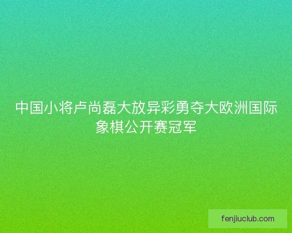 中国小将卢尚磊大放异彩勇夺大欧洲国际象棋公开赛冠军